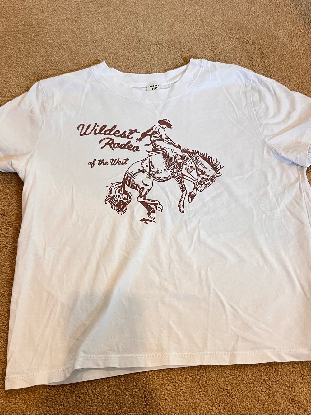 Aritzia t shirt